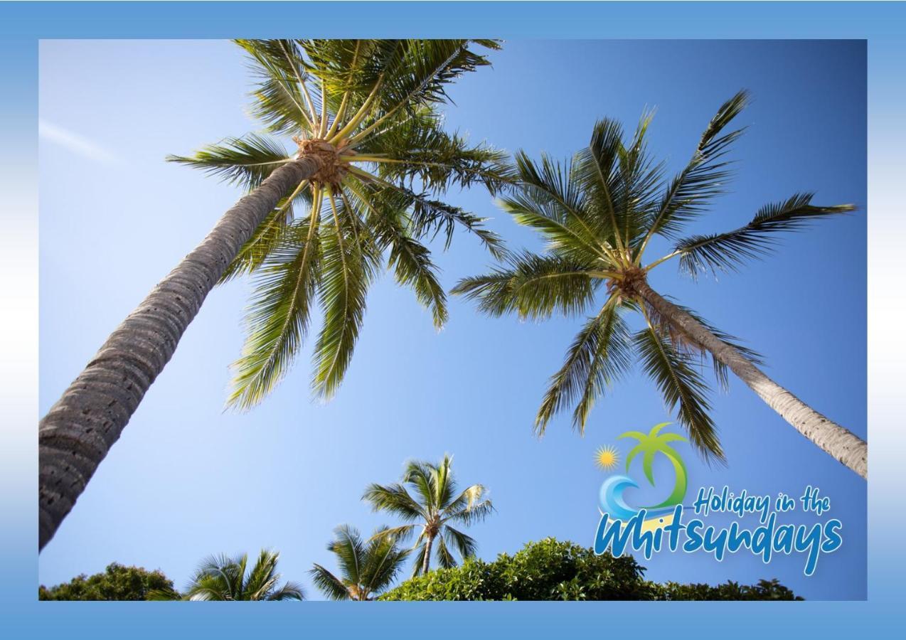 Ocean View 16A Studio Pool & Spa Wi-Fi Airlie Beach Dış mekan fotoğraf
